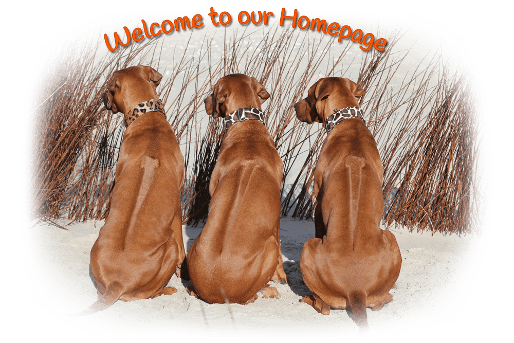 UDAKO Rhodesian Ridgebacks, welcome to our website