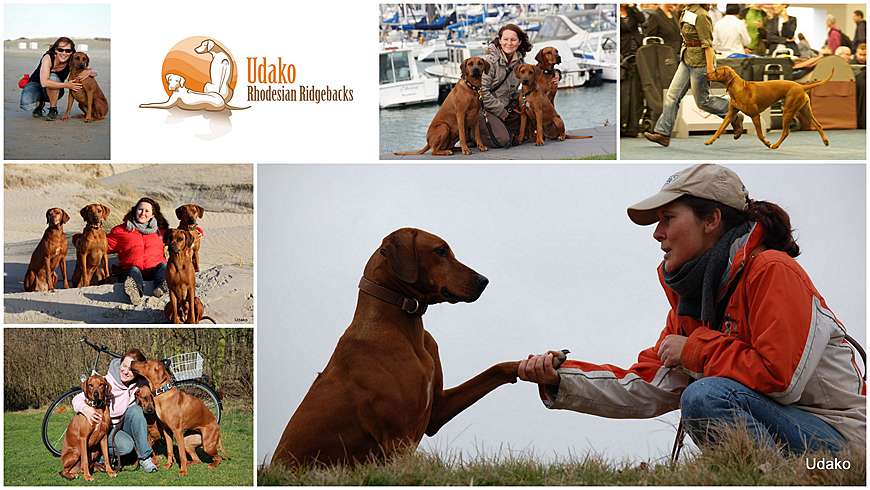 Wenn sich etwas wie ein roter Faden durch mein Leben zieht, dann ist es die Liebe und Begeisterung für Hunde!!