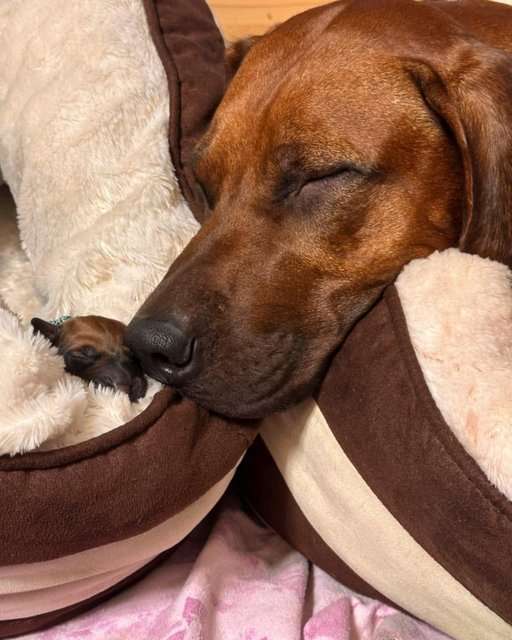 Unsere M & M´s sind gelandet