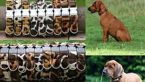 Welpenhalsbänder