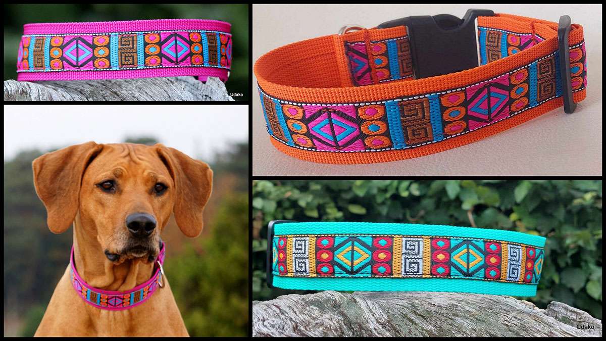 "African Spirit" ist ein Muster, das wie gemacht für unsere Afrikaner ist, aber auch sehr schön auf schwarzem Fell aussieht und daher auch bestens für Hunde aller Art geeignet ist. Qualitativ hochwertiges Webband in Kombi mit wunderschönen Farben ergibt es immer ein anderes Erscheinungsbild.