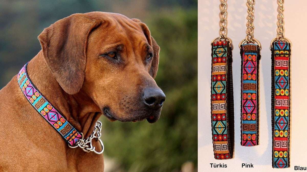 "African Spirit" ist ein Muster, das wie gemacht für unsere Afrikaner ist, aber auch sehr schön auf schwarzem Fell aussieht und daher auch bestens für Hunde aller Art geeignet ist. Qualitativ hochwertiges Webband in Kombi mit wunderschönen Farben ergibt es immer ein anderes Erscheinungsbild.