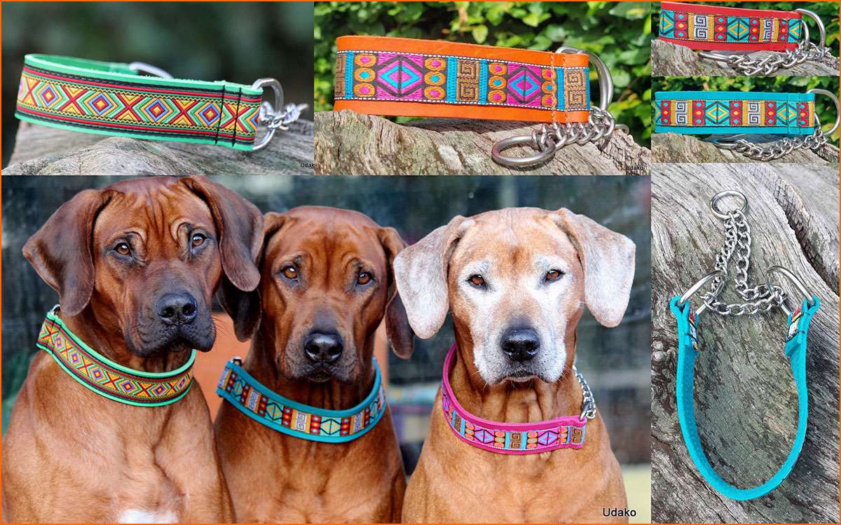 "African Spirit" ist ein Muster, das wie gemacht für unsere Afrikaner ist, aber auch sehr schön auf schwarzem Fell aussieht und daher auch bestens für Hunde aller Art geeignet ist. Qualitativ hochwertiges Webband in Kombi mit wunderschönen Farben ergibt es immer ein anderes Erscheinungsbild.